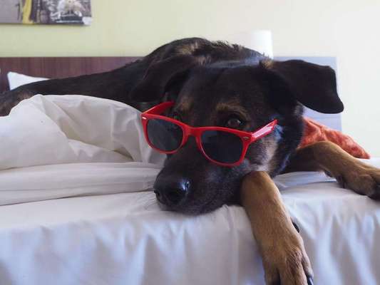 Fotochallenge Nr. 29 - Accessoires-Beitrag-Bild