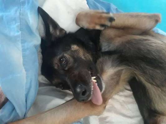 Fotochallange Nr. 6 Die irrsten Blicke-Beitrag-Bild