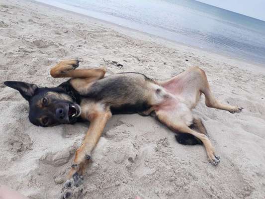 Foto Challenge - BEENDET - bitte aktuelle Challenge nutzen-Beitrag-Bild