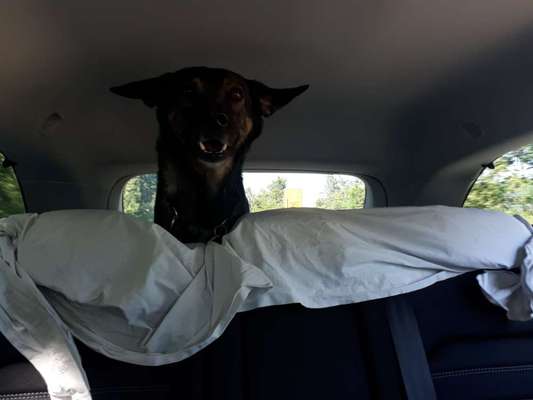 CHALLENGE NR. 18 - ON TOUR-Beitrag-Bild