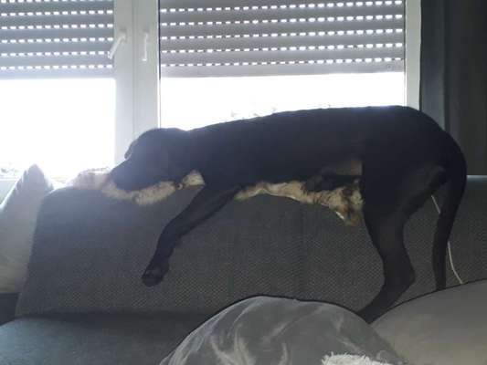 Die unbequemsten und lustigsten Schlafpositionen-Beitrag-Bild