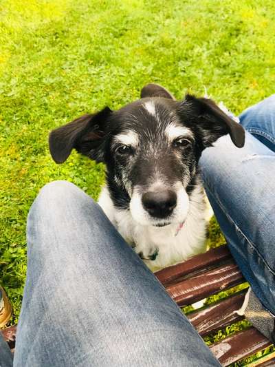 Fotochallange Nr. 57     PORTRÄT.   Beendet!!!!!!!!-Beitrag-Bild