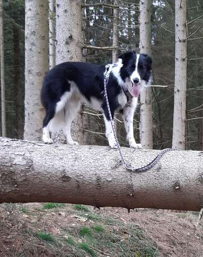 Theos Fotochallenge Nr. 3-Beitrag-Bild