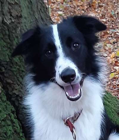 Fotochallange Nr. 57     PORTRÄT.   Beendet!!!!!!!!-Beitrag-Bild