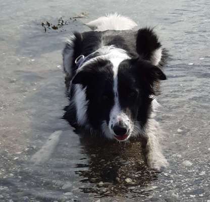 Lieblings "nervige Sprüche"-Beitrag-Bild