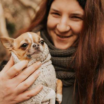 Hundetreffen-Spaziergang und evtl. Spielen-Bild