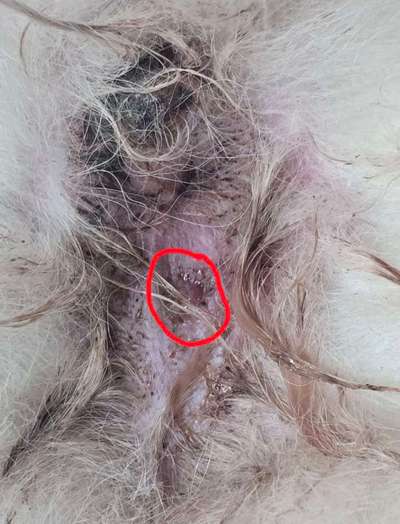 Wunde am After-Beitrag-Bild