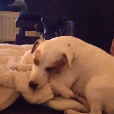 Die unbequemsten und lustigsten Schlafpositionen-Beitrag-Bild