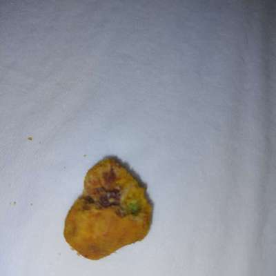 Giftköder-Giftköder Atzgersdorf-Bild