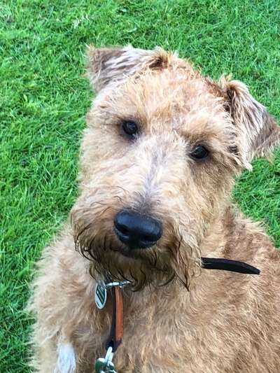 Fotochallange Nr. 57     PORTRÄT.   Beendet!!!!!!!!-Beitrag-Bild