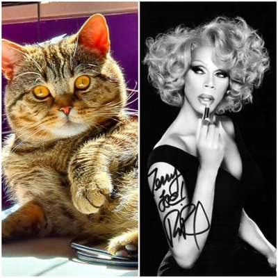 Wie heißt dein Hund?-Beitrag-Bild