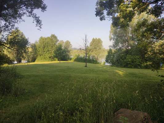 Hundeauslaufgebiet-Rottachsee/Bisseroy-Bild