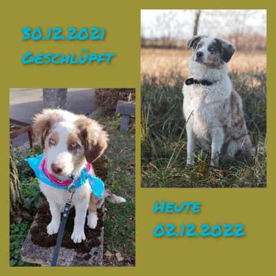 28. Handy-Fotochallenge - Damals und heute-Beitrag-Bild