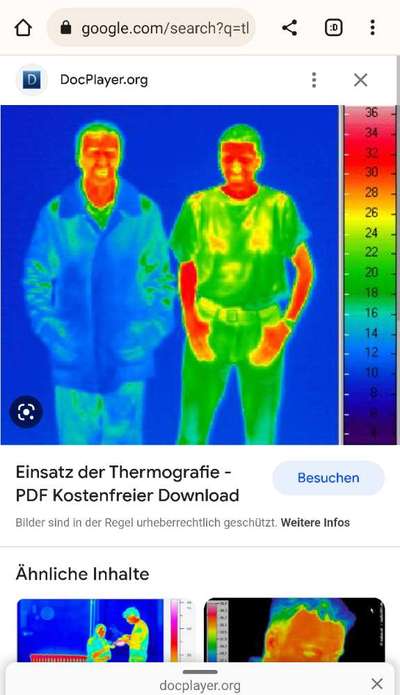 Border Collie Mix scheren lassen ?-Beitrag-Bild