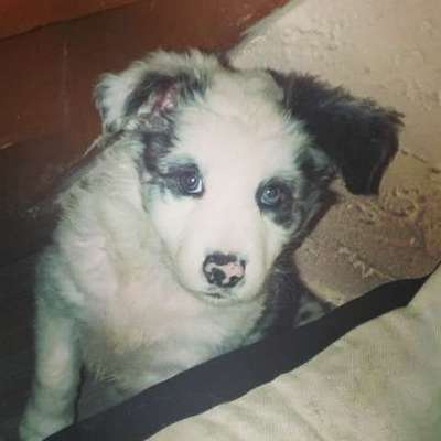 Foto Challenge 3-Beitrag-Bild