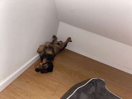 Die unbequemsten und lustigsten Schlafpositionen-Beitrag-Bild