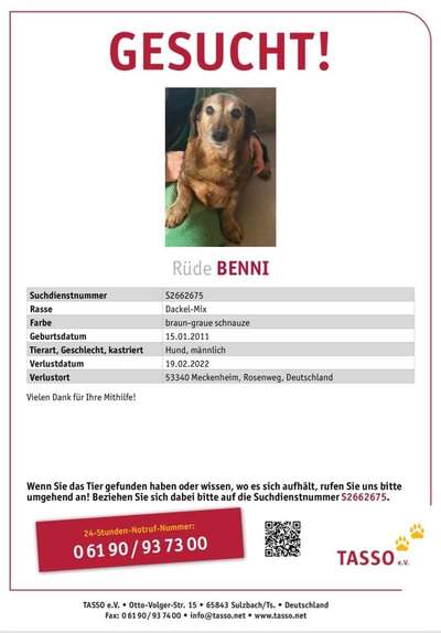 Suchmeldung-Benni-Bild