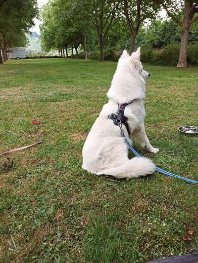 Foto-Challange No.1 - Alles aber nicht die Kamera-Beitrag-Bild