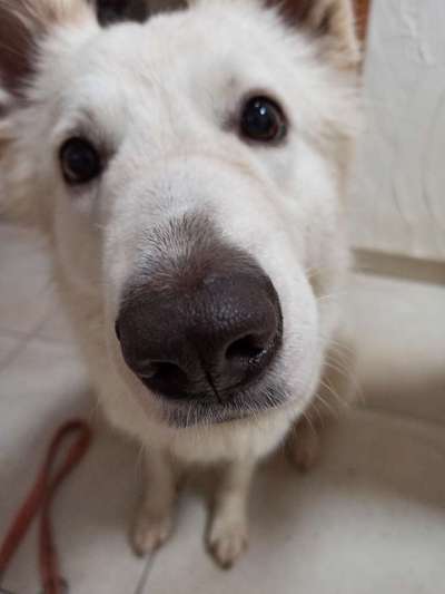 Un...scharf Bilder-Beitrag-Bild