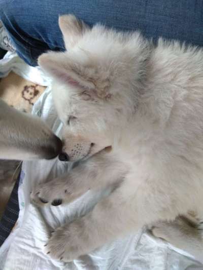 Fotochallange Nummer 5-Beitrag-Bild