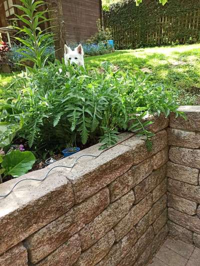 Fotowettbewerb Natur-Beitrag-Bild