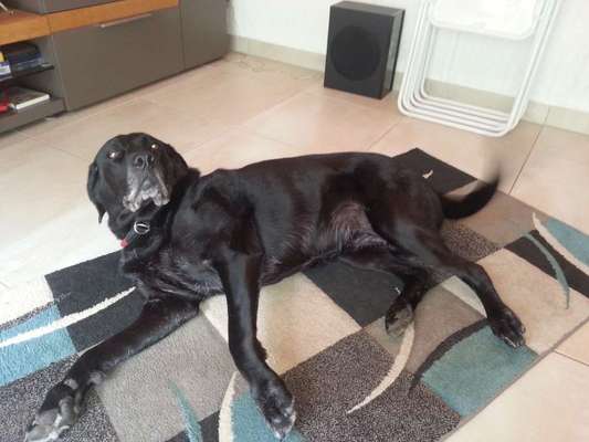 Fotochallenge Nr. 56 - geliebte Senioren-Beitrag-Bild