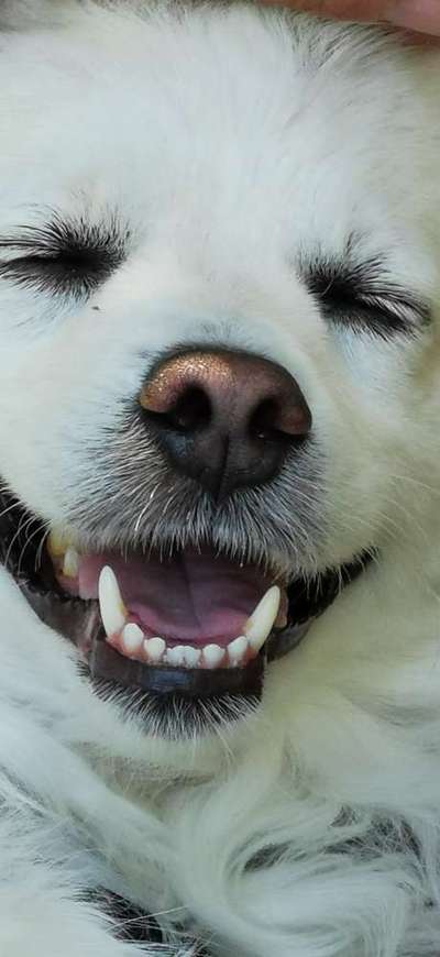 Das beste grinsefoto-Beitrag-Bild