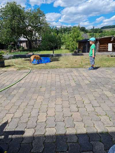 Erzählt eure Erfolgsstorys!-Beitrag-Bild