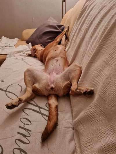 FOTO-Challenge  NR. 91: Die pure Entspannung-Beitrag-Bild