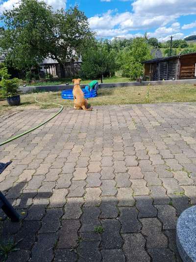 Erzählt eure Erfolgsstorys!-Beitrag-Bild