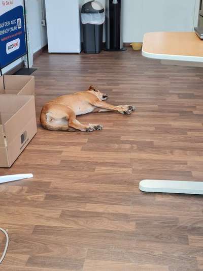 Erzählt eure Erfolgsstorys!-Beitrag-Bild