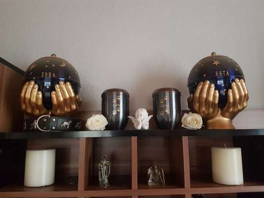 Unsere Sternchen ******-Beitrag-Bild