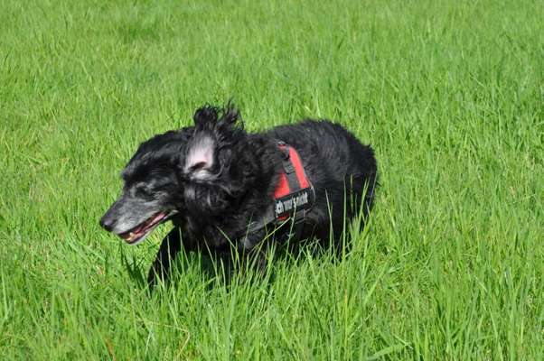 Unsere Sternchen ******-Beitrag-Bild