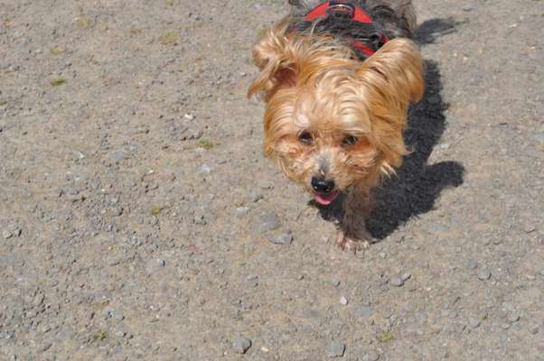 Unsere Sternchen ******-Beitrag-Bild