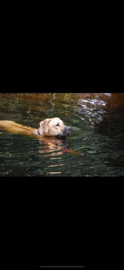 Foto Challenge - BEENDET - bitte aktuelle Challenge nutzen-Beitrag-Bild