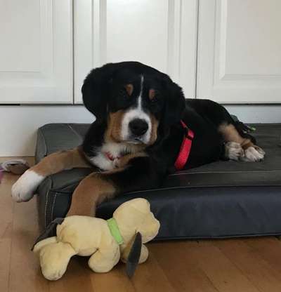 Foto Challenge 3-Beitrag-Bild