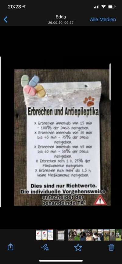 Epilepsie-Beitrag-Bild