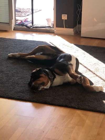 Die unbequemsten und lustigsten Schlafpositionen-Beitrag-Bild