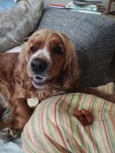 Fotochallenge Nr. 47 - Zeigt die Zähne-Beitrag-Bild