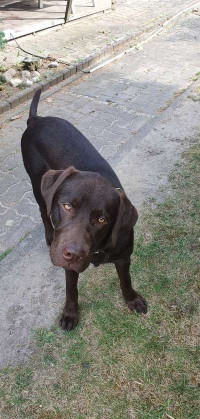 Von oben-Beitrag-Bild