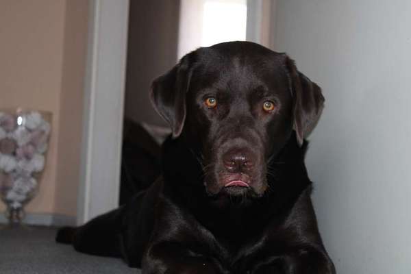 Lieblingsbild-Beitrag-Bild