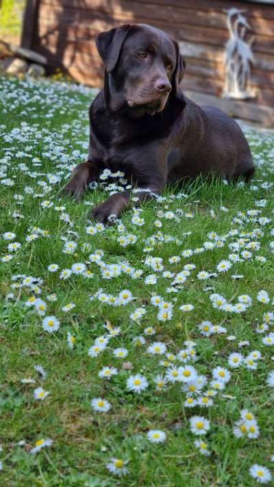 Fotowettbewerb Natur-Beitrag-Bild