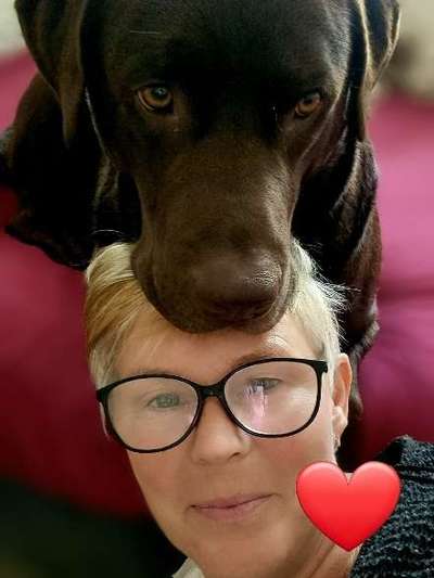 14. Handyfoto-Challenge: "BUDDY-Builder"-Beitrag-Bild