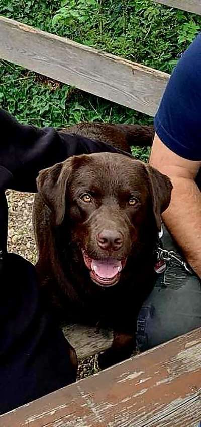 Handy-Foto Challange Nr. 10-Beitrag-Bild