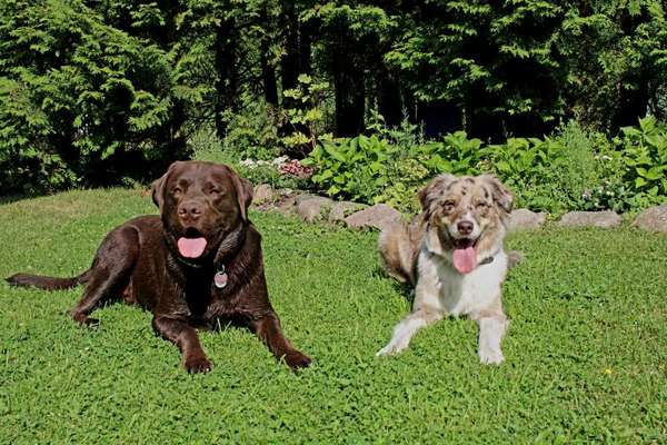 Handyfoto challenge Nr. 13: Waschlappen raus!-Beitrag-Bild