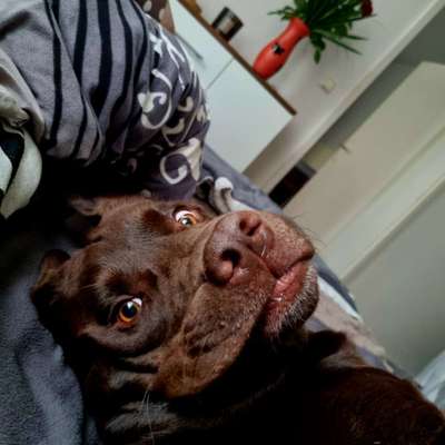 Lustige Bilder-Beitrag-Bild