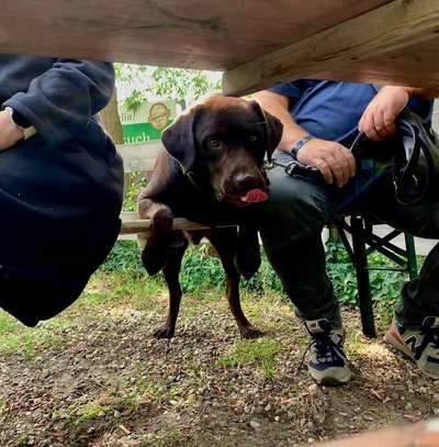 Tongue Out Tuesday-Beitrag-Bild