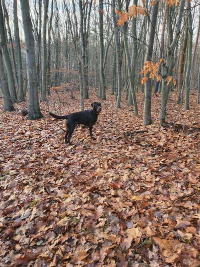 Handy-Foto-Challange Nr.9-Beitrag-Bild