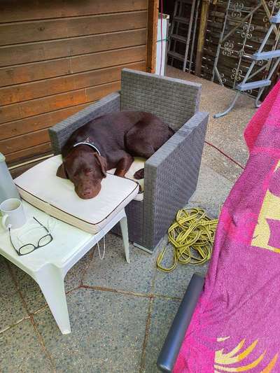 Foto Challange Nr.80-Beitrag-Bild