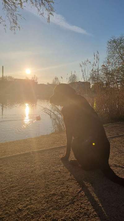 SonnenSTRAHLEN-Beitrag-Bild